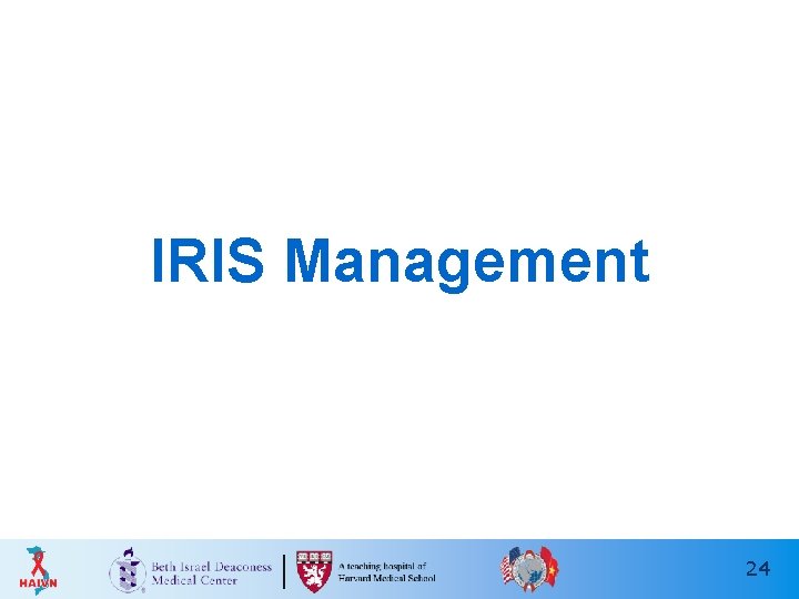 IRIS Management 24 