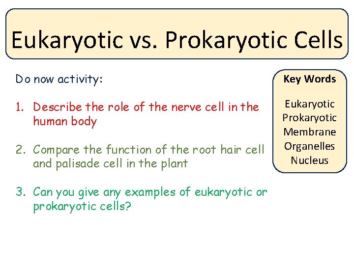 Eukaryotic vs. Prokaryotic Cells Do now activity: Key Words 1. Describe the role of