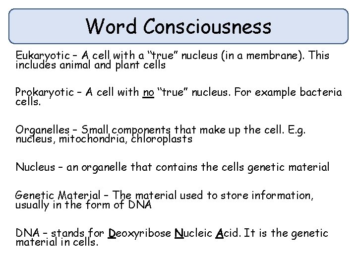 Word Consciousness Eukaryotic – A cell with a “true” nucleus (in a membrane). This