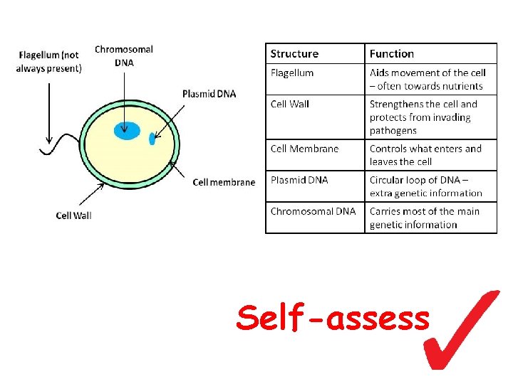 Self-assess 