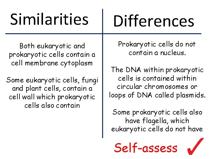 Similarities Both eukaryotic and prokaryotic cells contain a cell membrane cytoplasm Some eukaryotic cells,