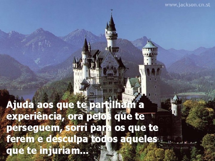 Ajuda aos que te partilham a experiência, ora pelos que te perseguem, sorri para