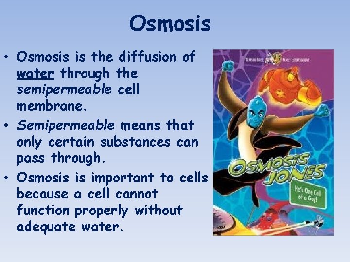 Osmosis • Osmosis is the diffusion of water through the semipermeable cell membrane. •
