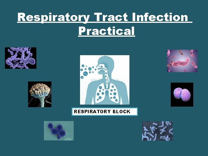 Respiratory Tract Infection Practical RESPIRATORY BLOCK 