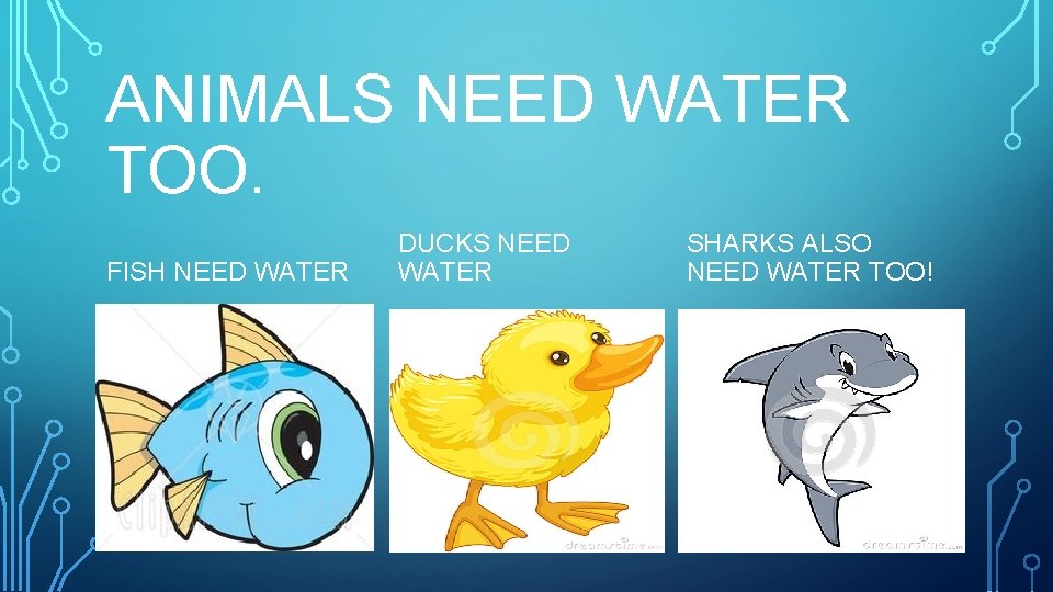 ANIMALS NEED WATER TOO. FISH NEED WATER DUCKS NEED WATER SHARKS ALSO NEED WATER