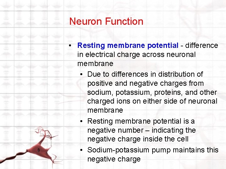 Neuron Function • Resting membrane potential - difference in electrical charge across neuronal membrane Neuron Function • Resting membrane potential - difference in electrical charge across neuronal membrane