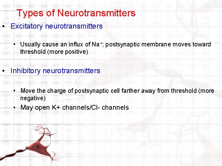 Types of Neurotransmitters • Excitatory neurotransmitters • Usually cause an influx of Na+; postsynaptic Types of Neurotransmitters • Excitatory neurotransmitters • Usually cause an influx of Na+; postsynaptic