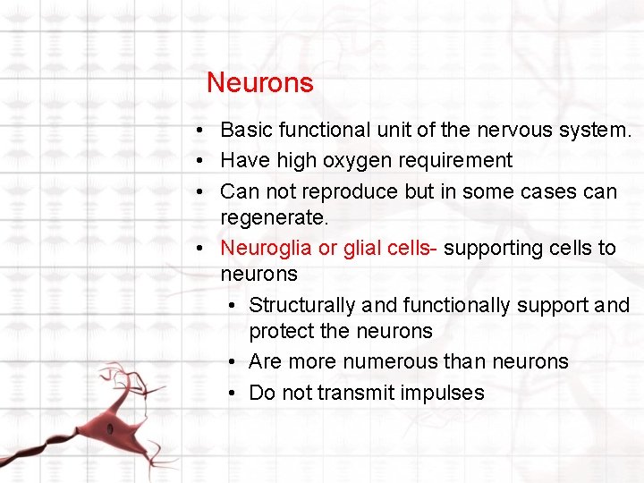 Neurons • Basic functional unit of the nervous system. • Have high oxygen requirement Neurons • Basic functional unit of the nervous system. • Have high oxygen requirement