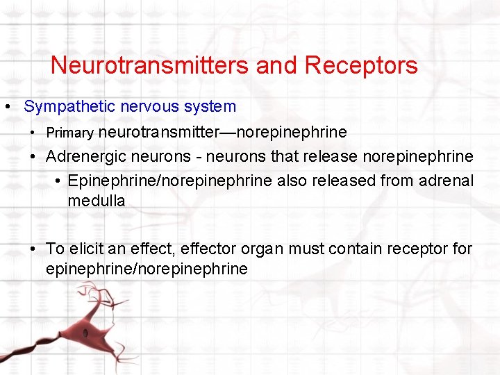 Neurotransmitters and Receptors • Sympathetic nervous system • Primary neurotransmitter—norepinephrine • Adrenergic neurons - Neurotransmitters and Receptors • Sympathetic nervous system • Primary neurotransmitter—norepinephrine • Adrenergic neurons -