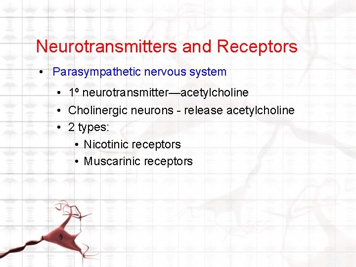 Neurotransmitters and Receptors • Parasympathetic nervous system • 1º neurotransmitter—acetylcholine • Cholinergic neurons - Neurotransmitters and Receptors • Parasympathetic nervous system • 1º neurotransmitter—acetylcholine • Cholinergic neurons -