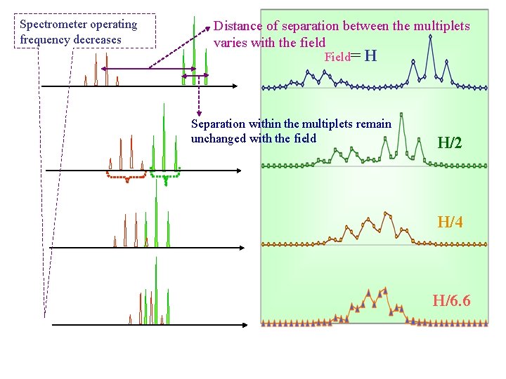 Spectrometer operating frequency decreases Distance of separation between the multiplets varies with the field