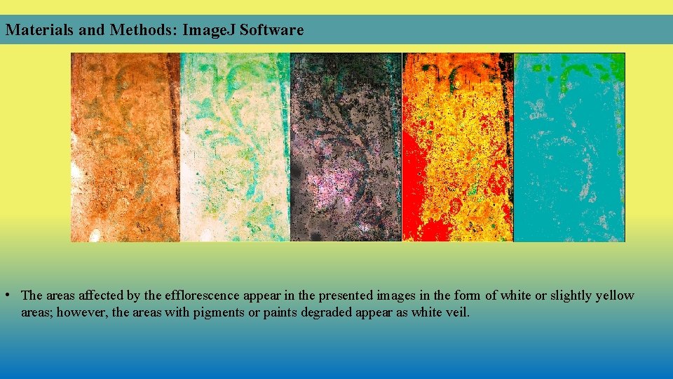 Materials and Methods: Image. J Software • The areas affected by the efflorescence appear