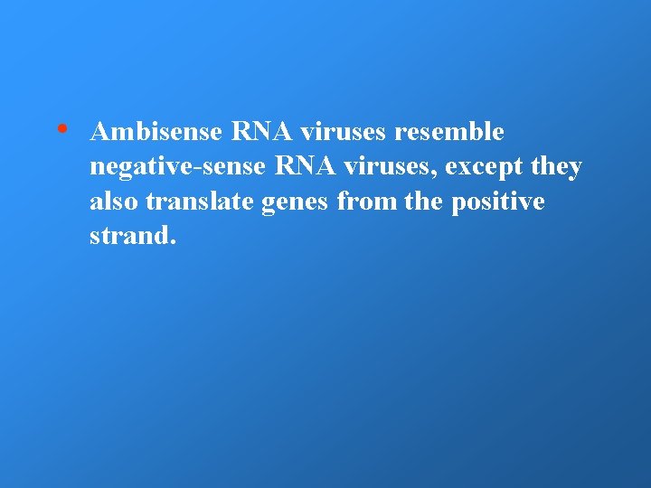  • Ambisense RNA viruses resemble negative-sense RNA viruses, except they also translate genes