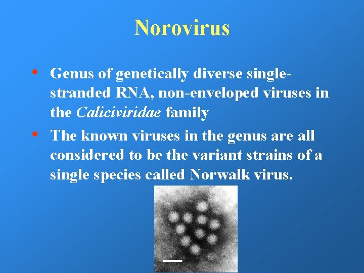 Norovirus • • Genus of genetically diverse singlestranded RNA, non-enveloped viruses in the Caliciviridae