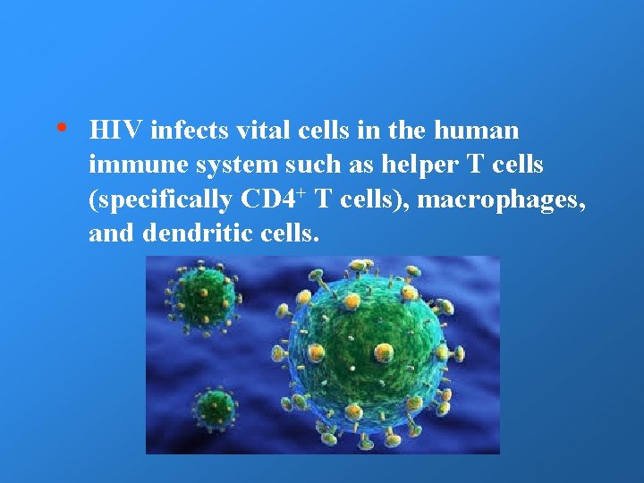  • HIV infects vital cells in the human immune system such as helper