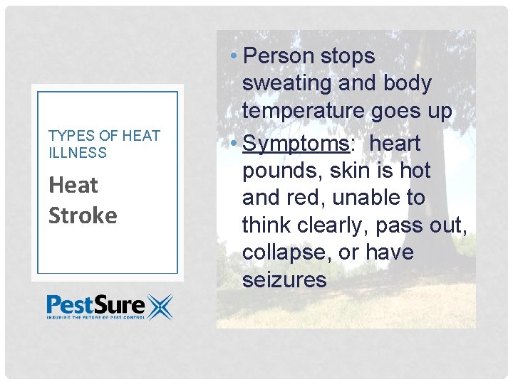 TYPES OF HEAT ILLNESS Heat Stroke • Person stops sweating and body temperature goes
