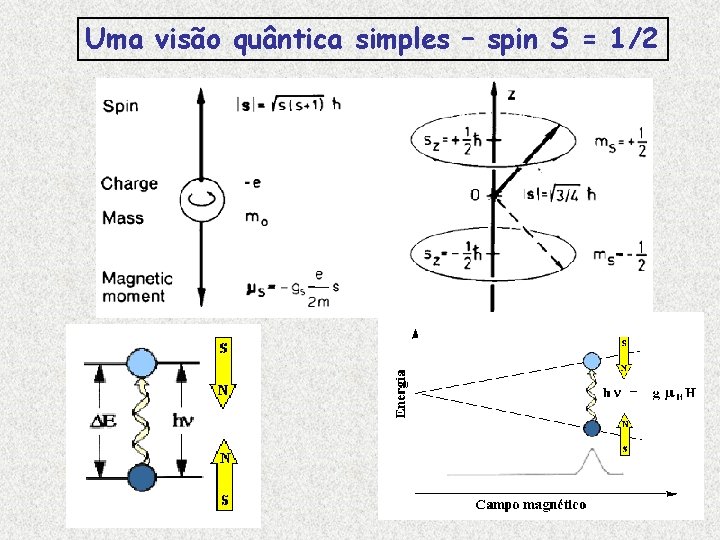 Uma visão quântica simples – spin S = 1/2 