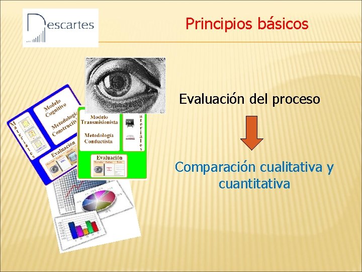 Principios básicos Evaluación del proceso Comparación cualitativa y cuantitativa 
