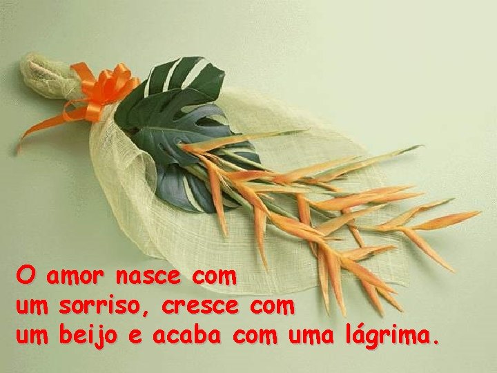 O amor nasce com um sorriso, cresce com um beijo e acaba com uma