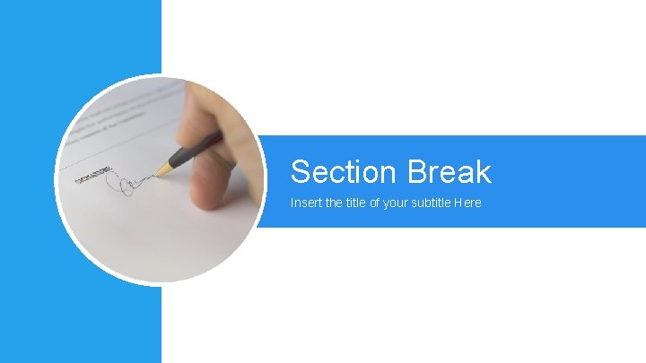 Section Break Insert the title of your subtitle Here 