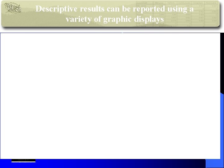 Descriptive results can be reported using a variety of graphic displays © 2004 CCSSO
