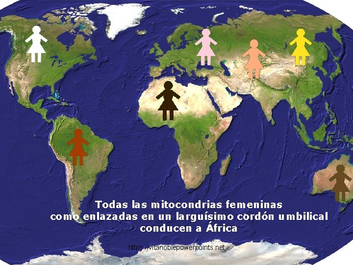 Todas las mitocondrias femeninas como enlazadas en un larguísimo cordón umbilical conducen a África