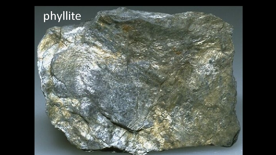 phyllite 