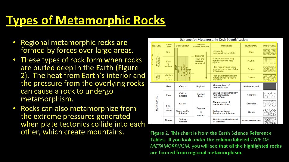 Types of Metamorphic Rocks • Regional metamorphic rocks are formed by forces over large