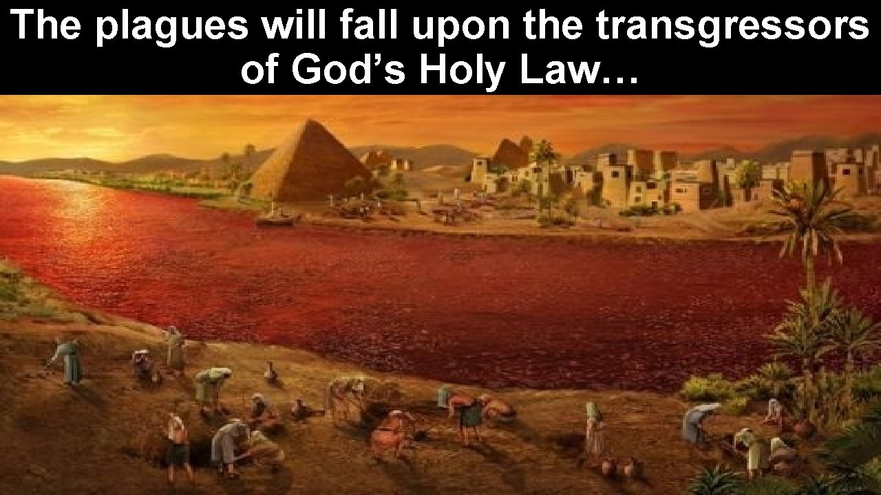 The plagues will fall upon the transgressors of God’s Holy Law… 