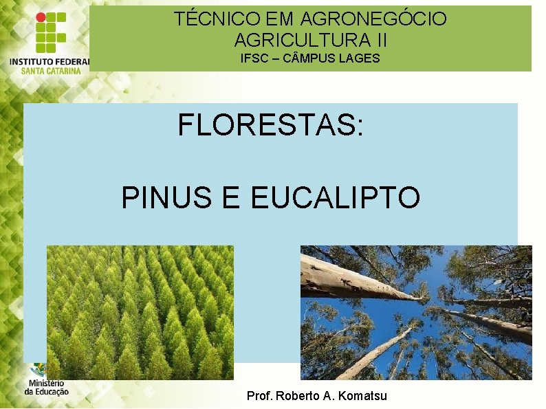 TÉCNICO EM AGRONEGÓCIO AGRICULTURA II IFSC – C MPUS LAGES FLORESTAS: PINUS E EUCALIPTO
