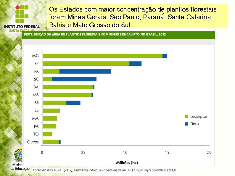 Os Estados com maior concentração de plantios florestais foram Minas Gerais, São Paulo, Paraná
