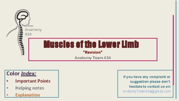 Muscles of the Lower Limb "Revision" Anatomy Team 434 Color Index: ▪ ▪ ▪