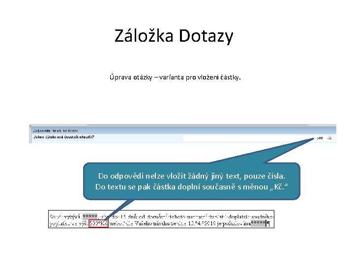 Záložka Dotazy Úprava otázky – varianta pro vložení částky. Do odpovědi nelze vložit žádný