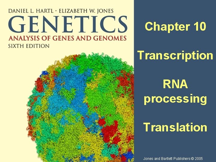 Chapter 10 Transcription RNA processing Translation Jones and Bartlett Publishers © 2005 