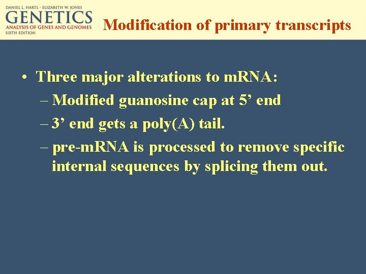 Modification of primary transcripts • Three major alterations to m. RNA: – Modified guanosine
