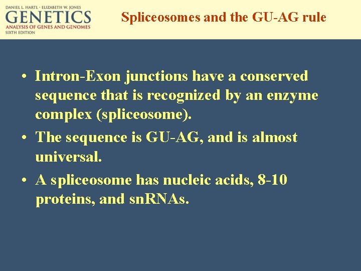 Spliceosomes and the GU-AG rule • Intron-Exon junctions have a conserved sequence that is