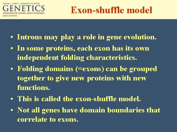 Exon-shuffle model • Introns may play a role in gene evolution. • In some