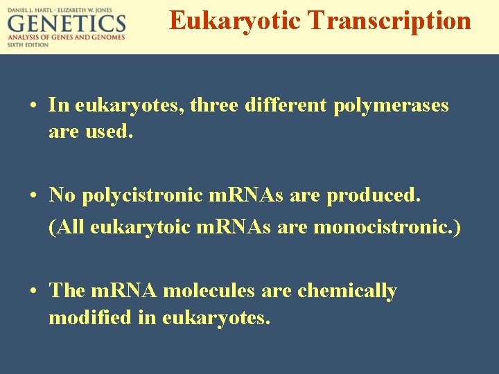 Eukaryotic Transcription • In eukaryotes, three different polymerases are used. • No polycistronic m.