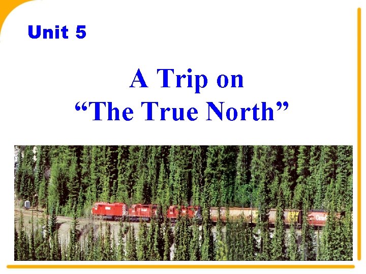 Unit 5 A Trip on “The True North” 