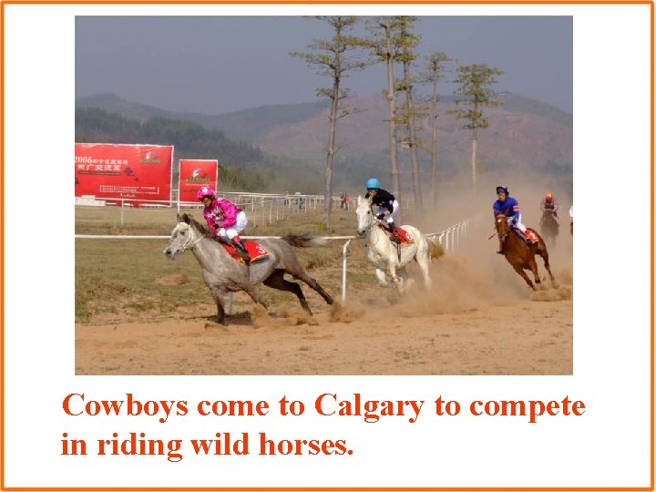 Cowboys come to Calgary to compete in riding wild horses. 