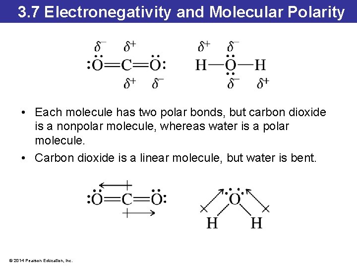 3. 7 Electronegativity and Molecular Polarity • Each molecule has two polar bonds, but 3. 7 Electronegativity and Molecular Polarity • Each molecule has two polar bonds, but