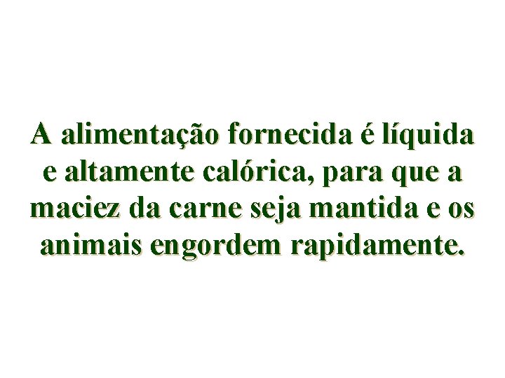 A alimentação fornecida é líquida e altamente calórica, para que a maciez da carne
