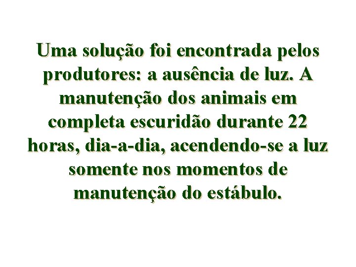 Uma solução foi encontrada pelos produtores: a ausência de luz. A manutenção dos animais