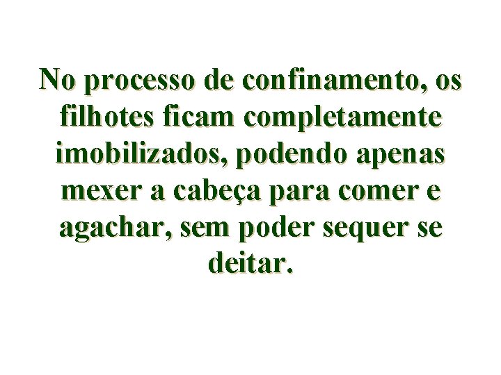 No processo de confinamento, os filhotes ficam completamente imobilizados, podendo apenas mexer a cabeça