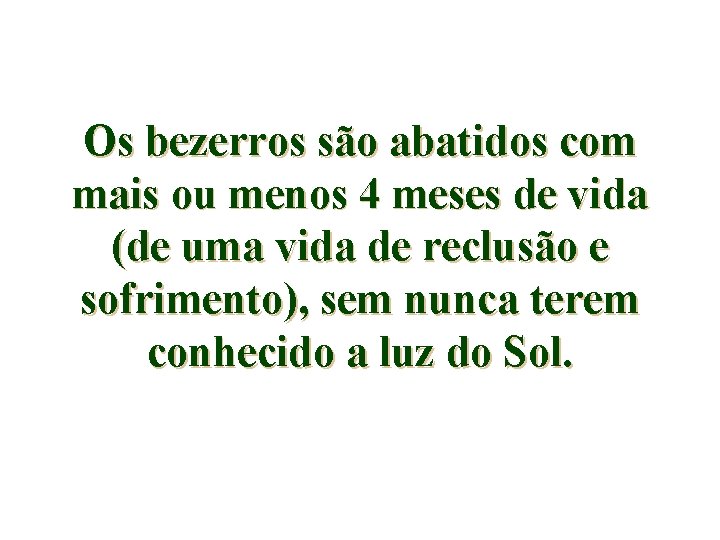 Os bezerros são abatidos com mais ou menos 4 meses de vida (de uma