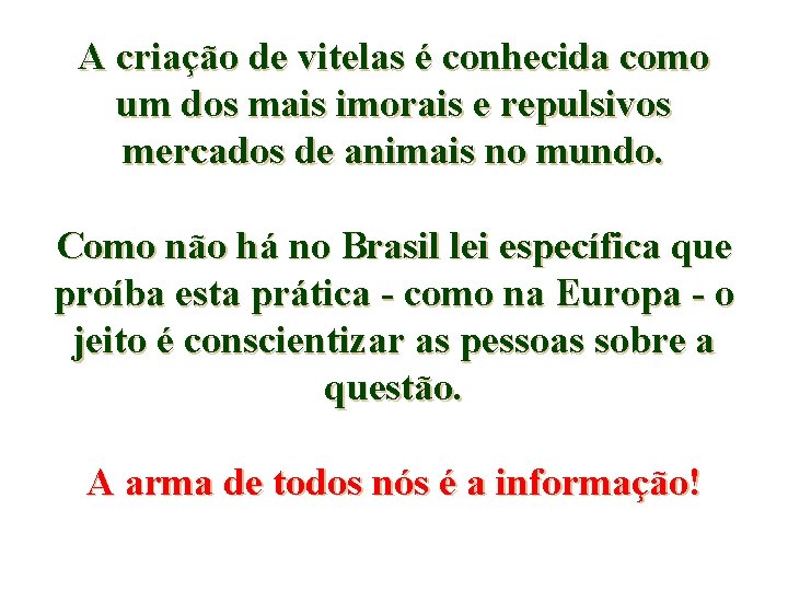A criação de vitelas é conhecida como um dos mais imorais e repulsivos mercados
