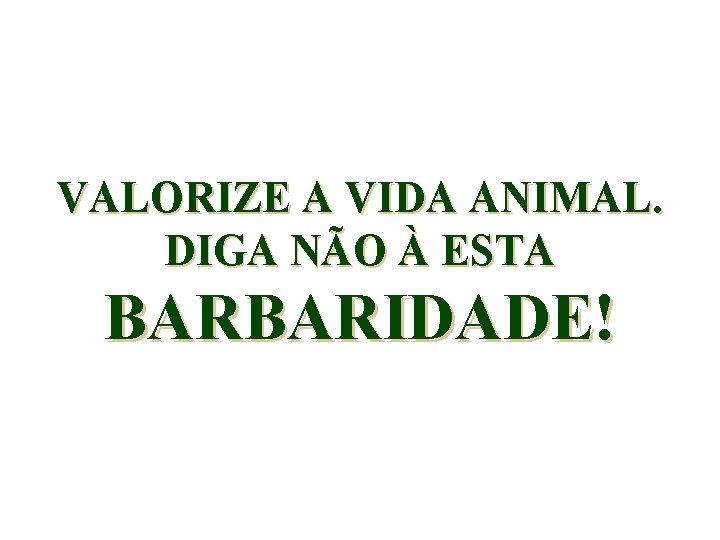 VALORIZE A VIDA ANIMAL. DIGA NÃO À ESTA BARBARIDADE! 