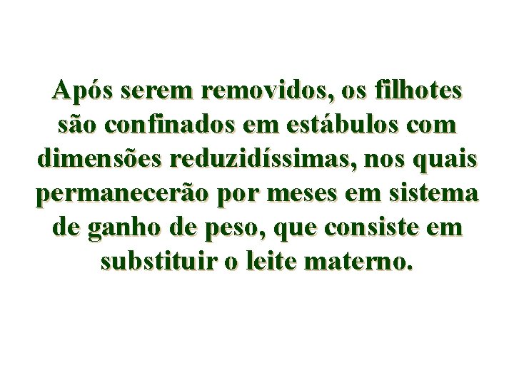 Após serem removidos, os filhotes são confinados em estábulos com dimensões reduzidíssimas, nos quais