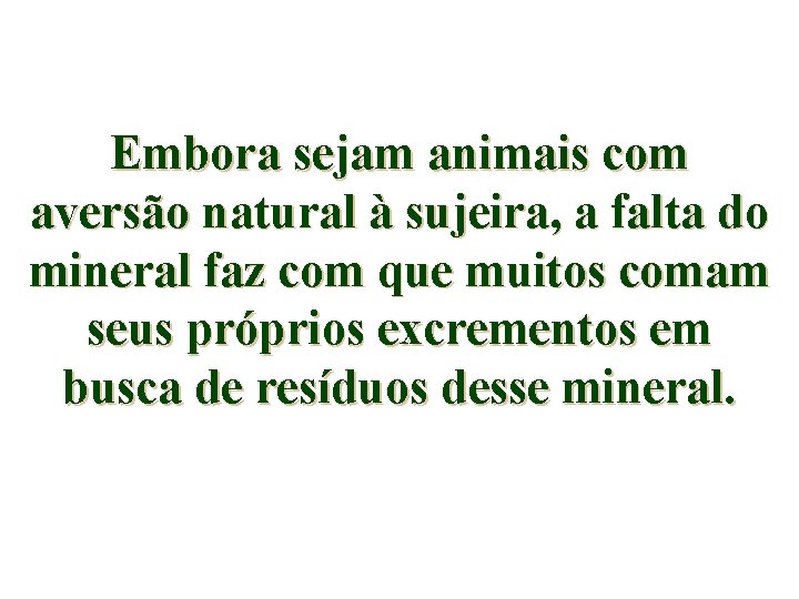 Embora sejam animais com aversão natural à sujeira, a falta do mineral faz com