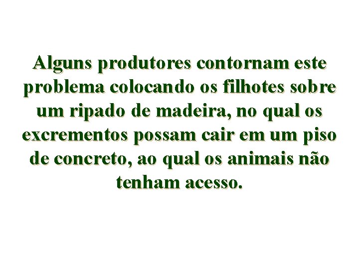 Alguns produtores contornam este problema colocando os filhotes sobre um ripado de madeira, no